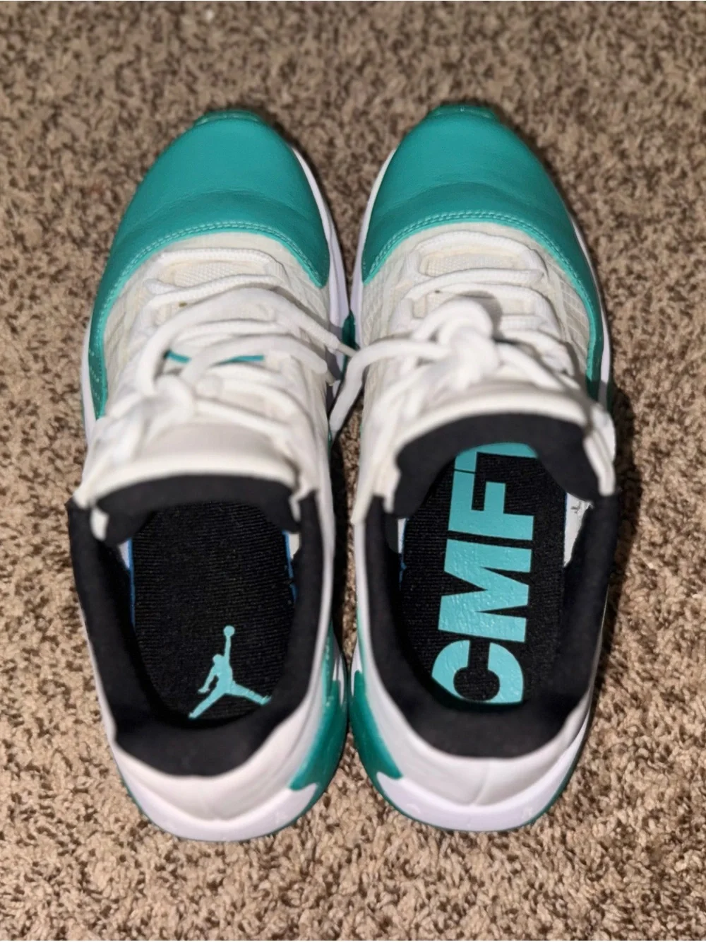 Jordan Teal and White Low-Top Men’s Sneakers